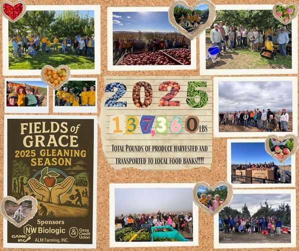 End of Season Gleaning Banner (Facebook Post) 3