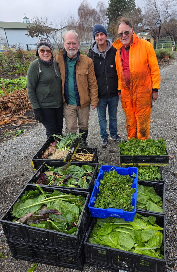 5702190036846783283 2 5702190036846783283 2