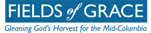 Fields of Grace text logo